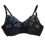 Vixen Vintage Cup -Straight Up Silk 