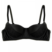 Rendezvous Renaissance Push Up Bra