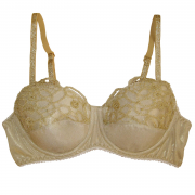 Midas Touch Modern Bra